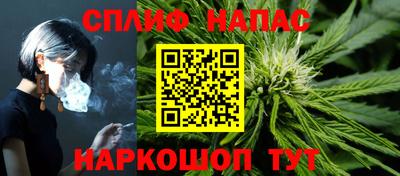 гидра Гусиноозёрск