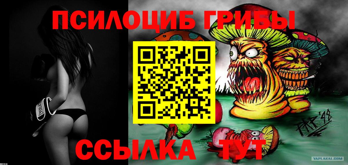 Псилоцибиновые грибы прущие грибы  даркнет сайт  Киселёвск  Вход с VPN 
