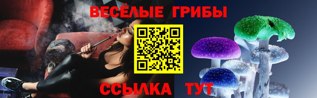 Псилоцибиновые грибы ЛСД Киселёвск